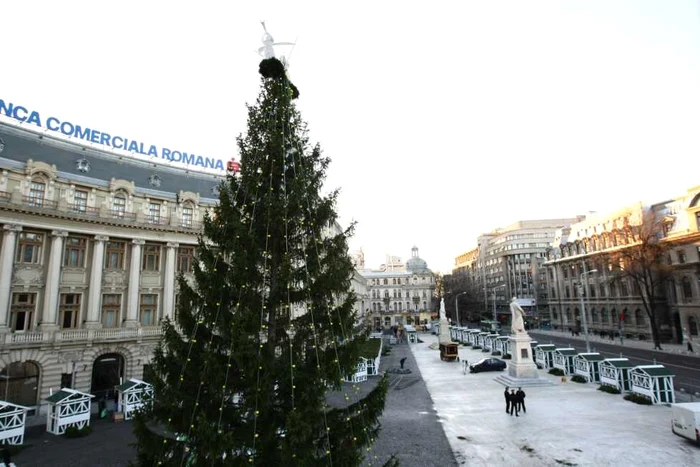 Cel mai mare brad din Bucureşti a fost montat în Piata Universităţii. FOTO Adevărul