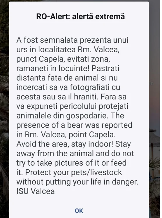 Prezența unui urs semnalată în Râmnicu Vâlcea Mesajul RoAlert primit de localnici Sursă Daciana Stoica jpeg