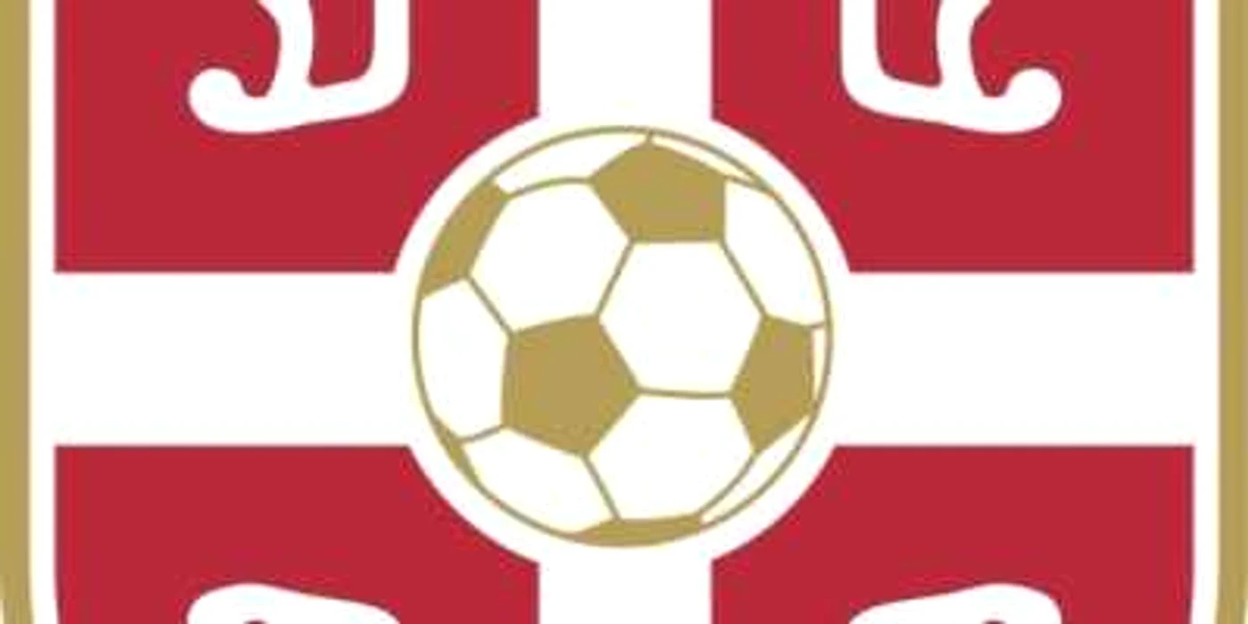 Federaţia de Fotbal din Serbia