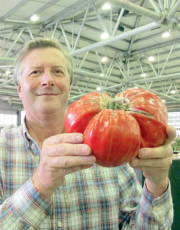 Cea mai „babană” roşie cântăreşte 5 kg