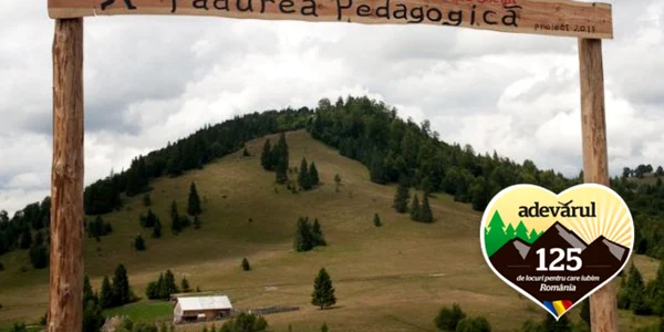 bistrita