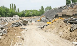 18 sport mare dc 0218 jpeg