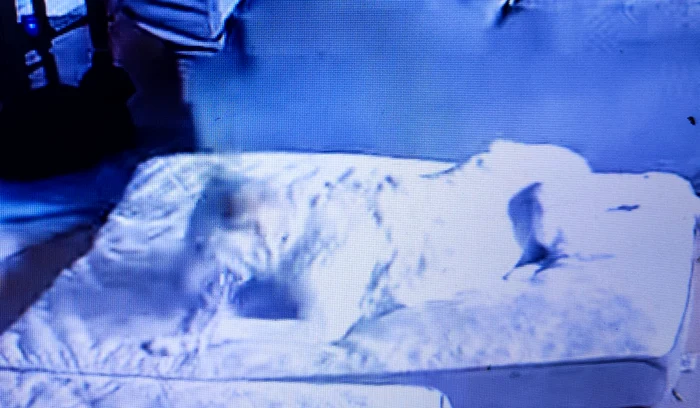 Câinele s-a jucat cu ou o baterie externă FOTO: Captura video