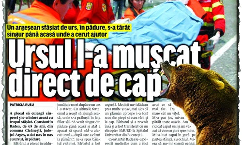 Click v a prezentat  cazul bătrânului  atacat de urs jpeg