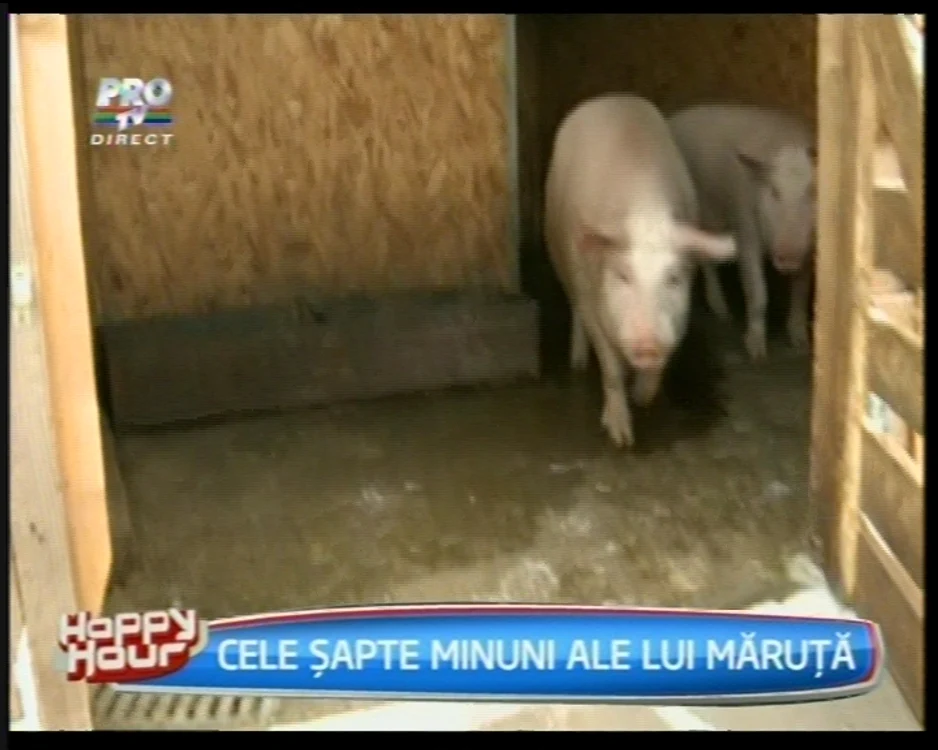 Becali, vizitat de echipa „Happy Hour”