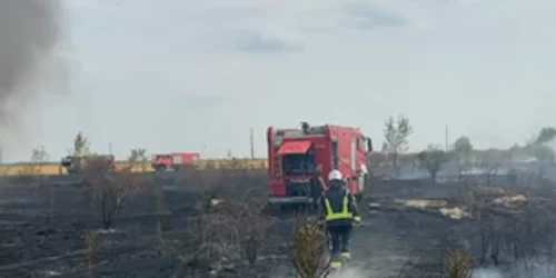 Incendiu de vegetație Ilfov mp4 thumbnail png