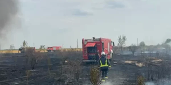 Incendiu de vegetație Ilfov mp4 thumbnail png