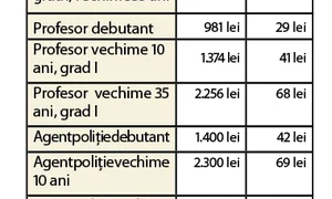 Iată câţi bani ar fi trebuit să câştige bugetarii! jpeg