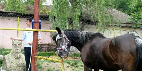 Cal posibil suspect de SIDA