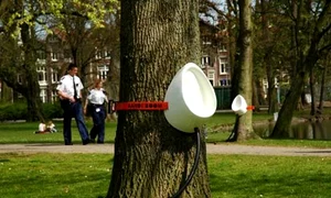 Vasele sunt legate la o reţea de colectare a urinei jpeg