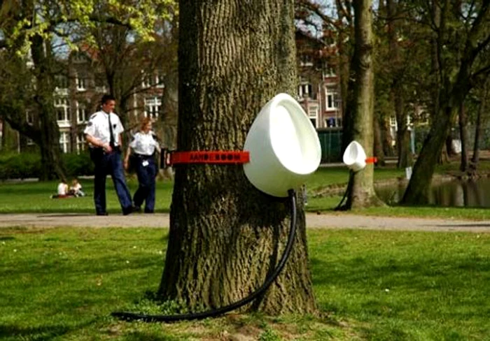 Vasele sunt legate la o reţea de colectare a urinei