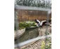  Animale sălbatice, păsări exotice și câteva specii pe cale de dispariție au fost găsite în mai multe gospodării din județul Iași. FOTO: IPJ Iași