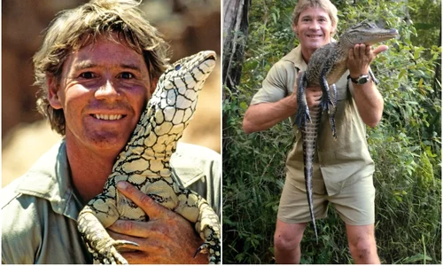 steve irwin jpg