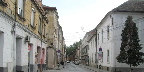 Circulaţia maşinilor interzisă în centrul Timişoarei FOTO