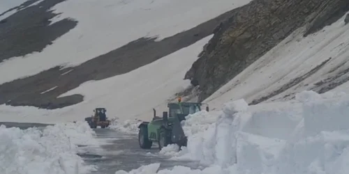 deszapezire transalpina