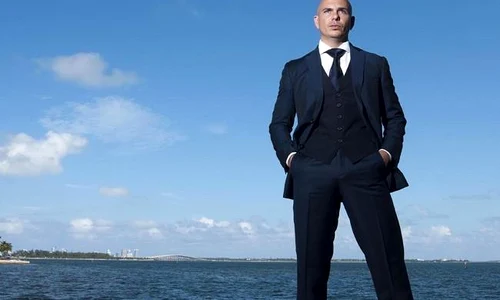 pitbull jpeg