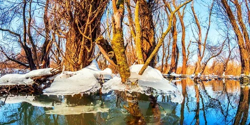 Primăvara în Dobrogea - Delta Dunării Sursa foto Facebook Daniel Petrescu