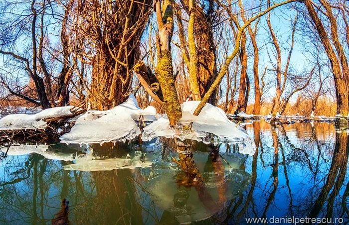 Primăvara în Dobrogea Sursa Facebook Daniel Petrescu