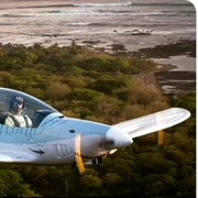 Avion Shark FOTO Captură X jpg