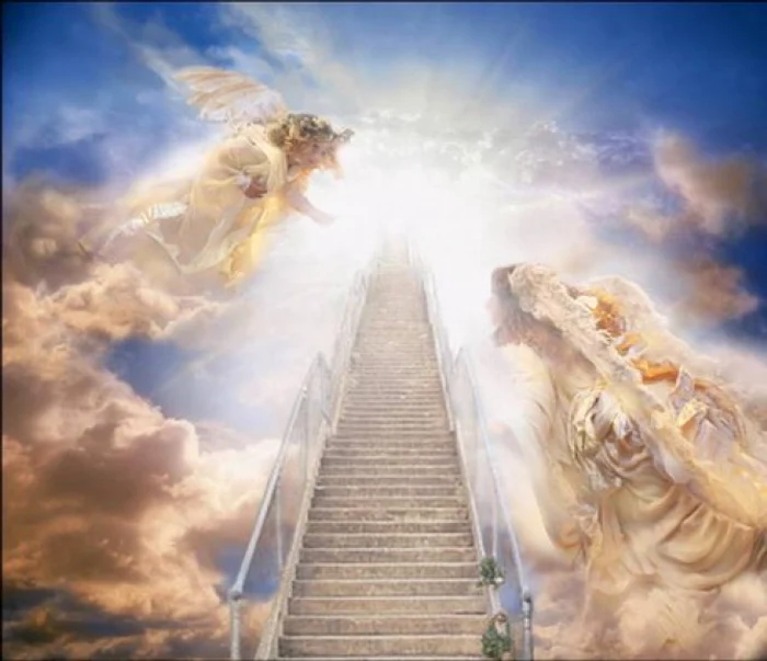 
    Un patron și-a numit firma ”Poarta Raiului” în speranța că va avea foarte mulți clienți  