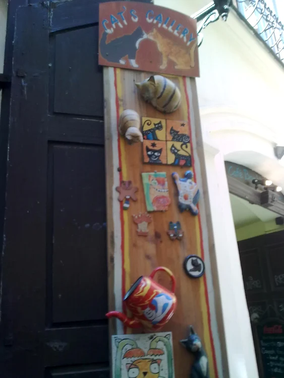 Galeria de pisici jpeg