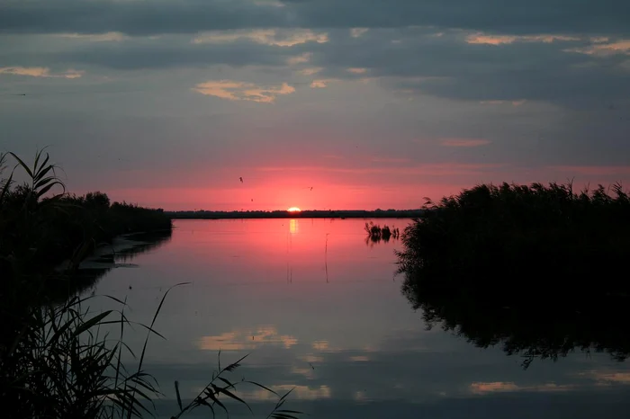 Delta Dunării. Foto: Pixabay