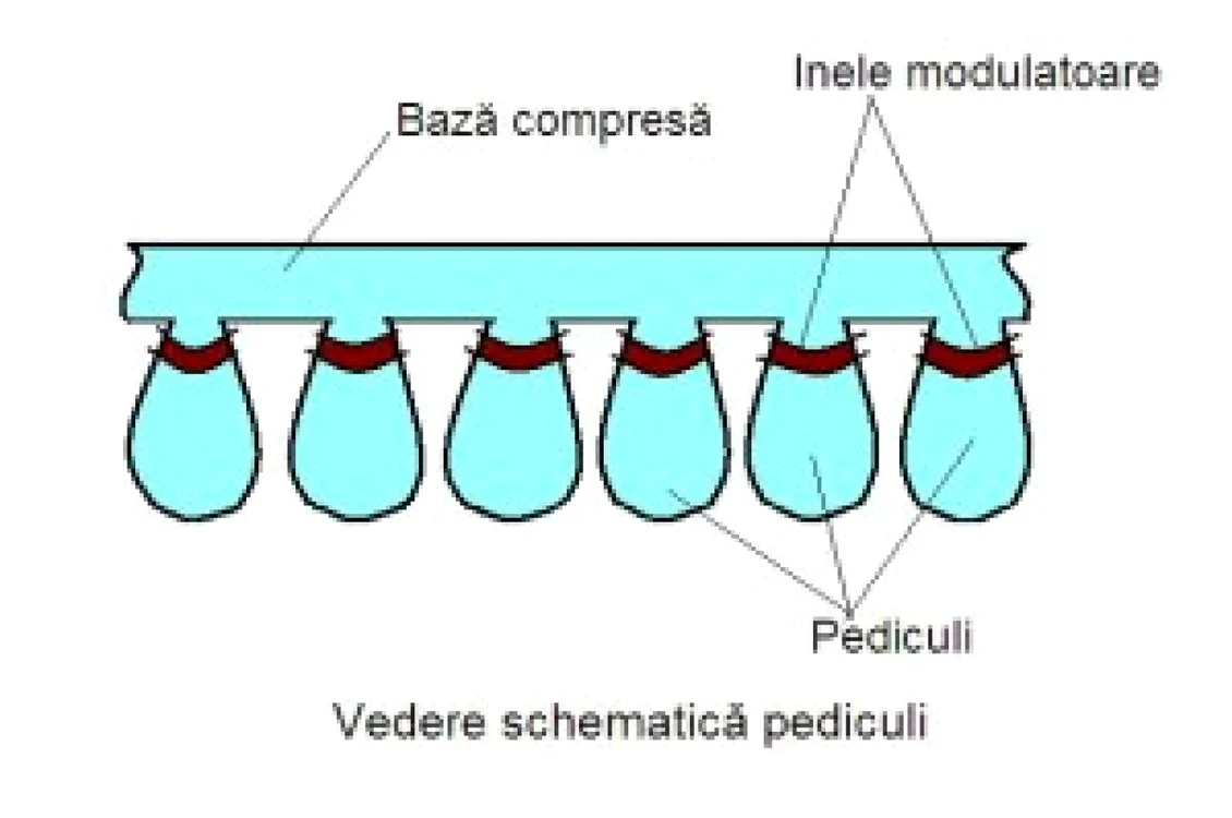 compresa