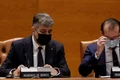 ciolacu si citu