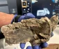 Trusă medicală, cercetată de arheologi (© Pompeii - Parco Archeologico)