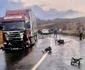 accident brasov 4, foto bzbrasov jpg
