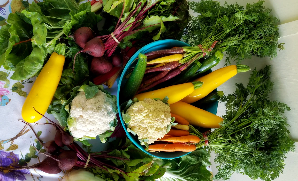 Conopida, cea mai sănătoasă și nutritivă legumă / foto: Pexels