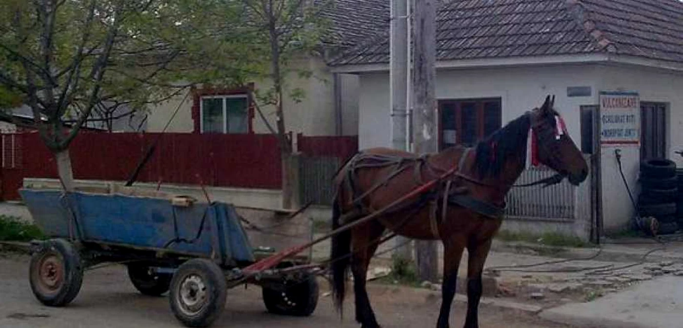 Hoţii transportau ţevile cu căruţa. FOTO: ARHIVĂ