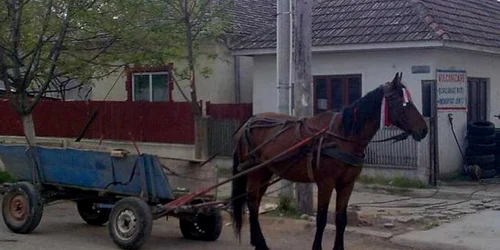 Hoţii transportau ţevile cu căruţa. FOTO: ARHIVĂ