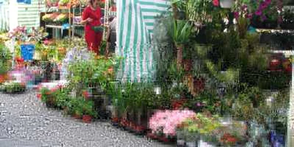 expoflora