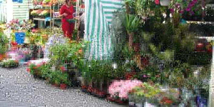 Iubitorii de flori sunt aşteptaţi la Slatina începând de joi ca să viziteze Expo-Flora... (Foto: Mugurel Manea)