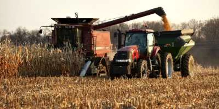 Ecologiştii ar planta copaci în locul porumbului din cea mai productivă zonă agricolă