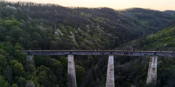 Calea ferata Deva Brad  Foto Daniel Guță ADEVĂRUL (9) JPG