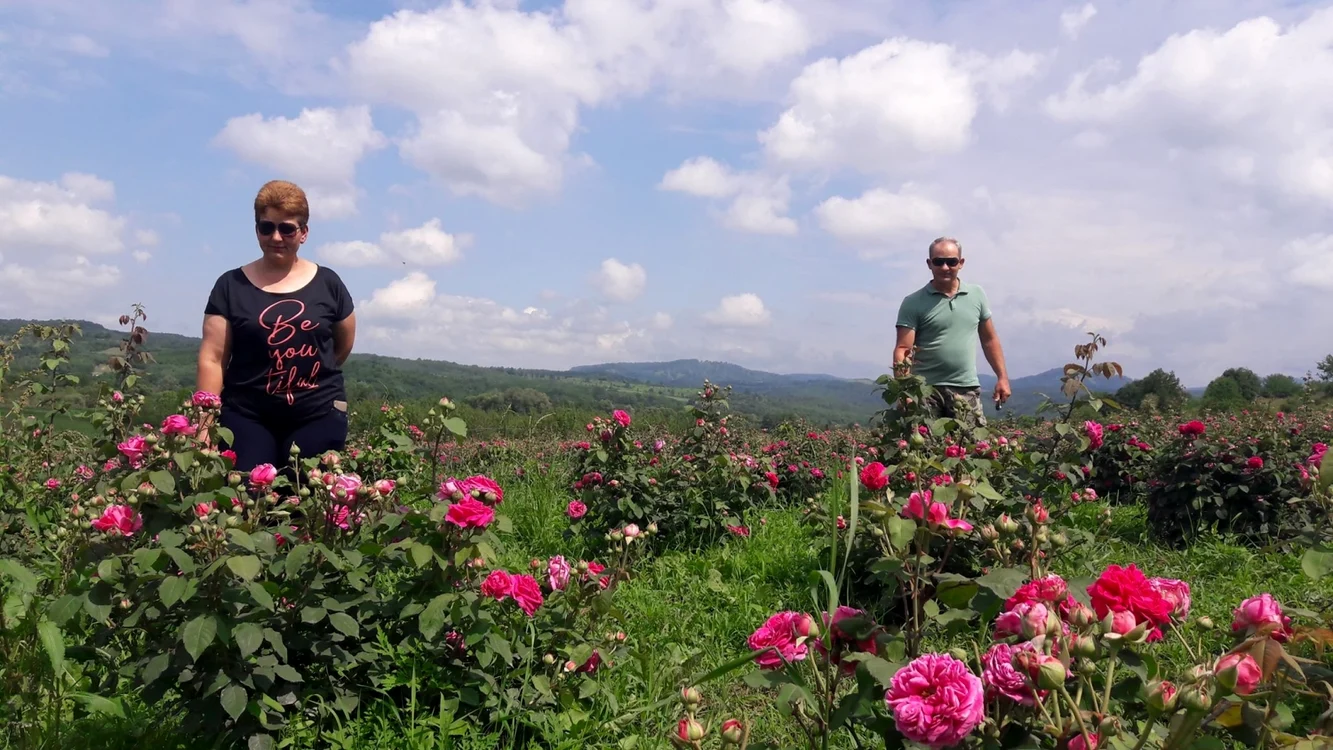 Vasilica și Ciprian Grecu, în mijlocul florilorFoto: adevarul.ro