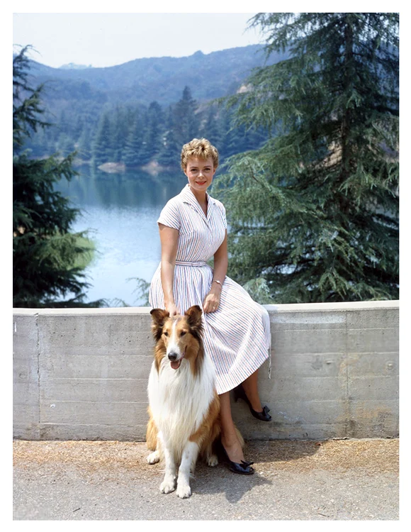 June Lockhart în Lassie FOTO: X