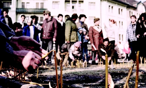 Calendar 17 decembrie: 1989   Revoluția de la Timișoara: La ordinul lui Ceaușescu, s a tras în manifestanți  54 de persoane au fost împușcate mortal jpeg