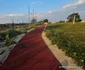 Stadionul din Ghelari Foto Daniel Guță ADEVĂRUL (11) jpg