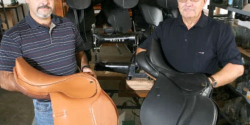 Caii se îmbracă de la firma Pony din Mediaş