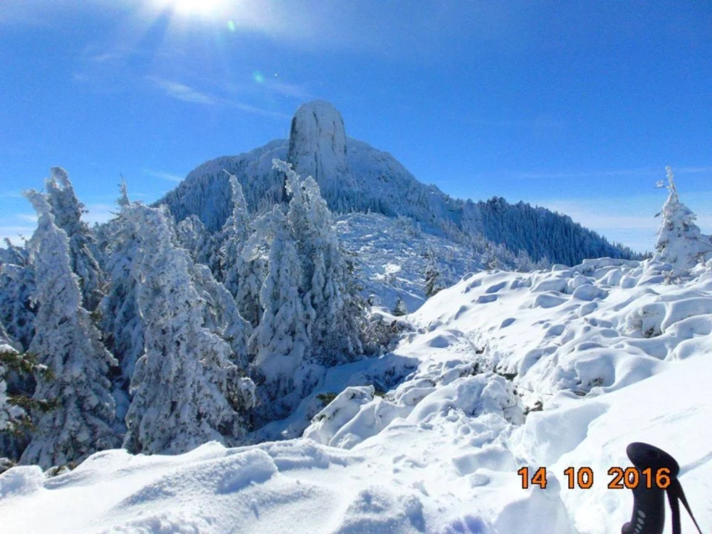 Ceahlau
