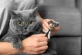 56 57 shutterstock 2247204203 jpg