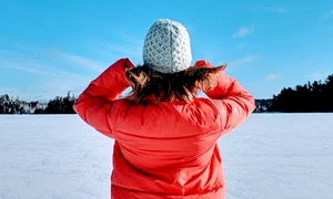 adevarul ro pexels punttim 1795517 jpg