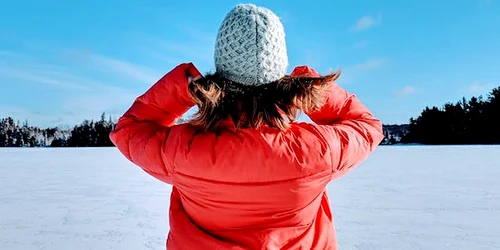 adevarul ro pexels punttim 1795517 jpg