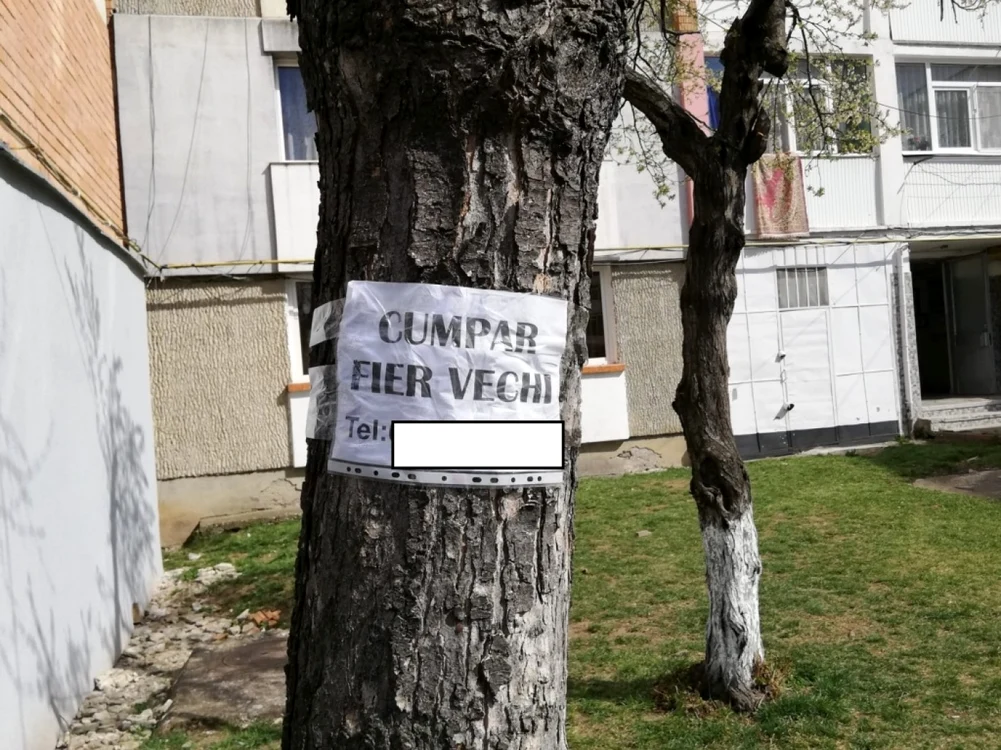 Agenţii locali au aplicat cinci amenzi FOTO Poliţia Locală Piatra Neamţ