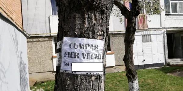 copaculafis
