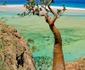 Frumuseţea extraterestră a Insulei Socotra Yemen Foto wordsinthebucket com