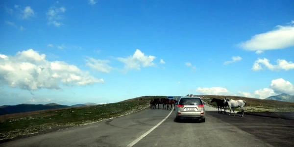 Turiştii au fost atraşi toată vara ca un magnet de frumuseţea peisajului 